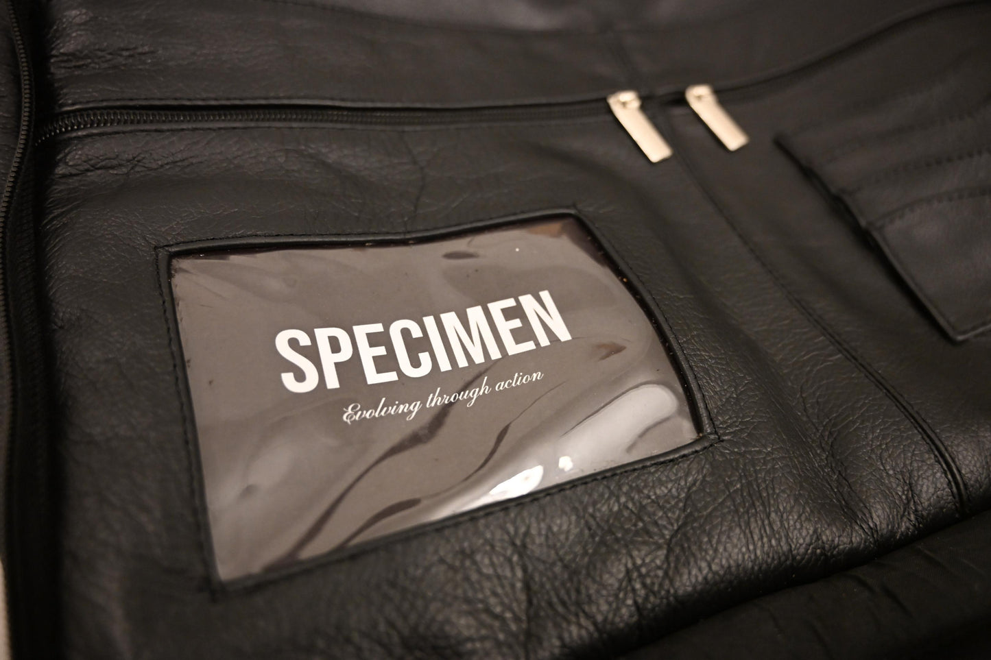 SPECIMEN SHEEPSKIN BRIEF